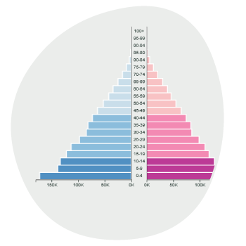 Population Pyramids