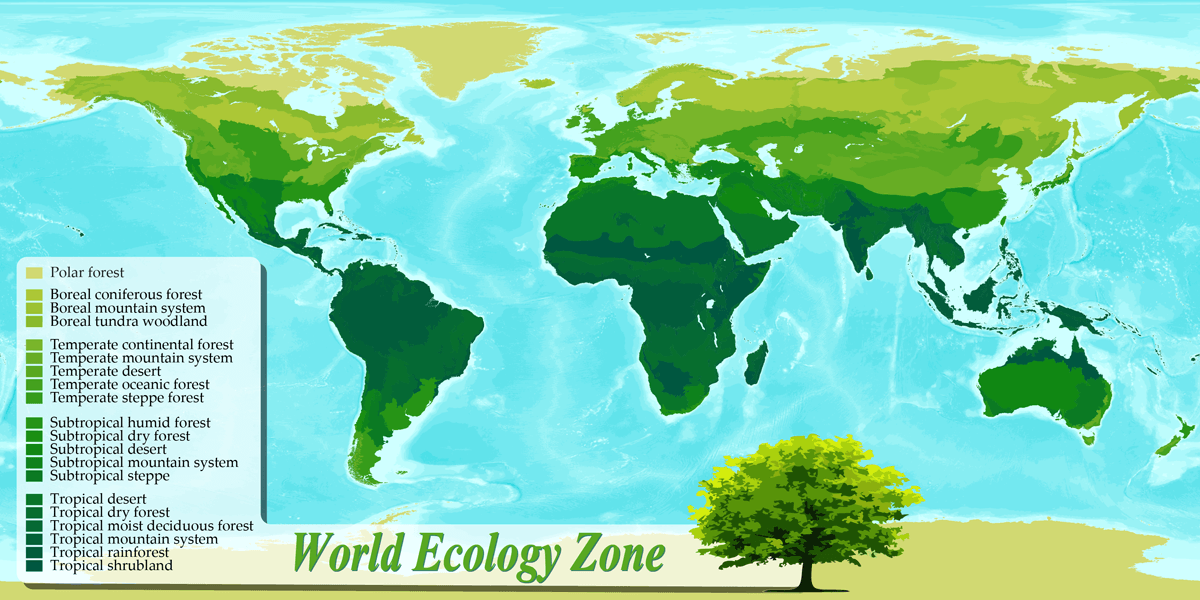 World ecological zones